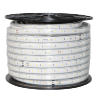 Đèn LED Dây Rạng Đông