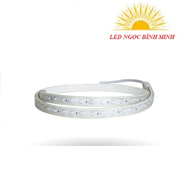 Đèn led dây Kingeco