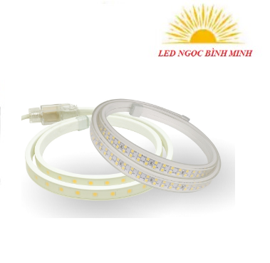 Đèn LED Dây Paragon