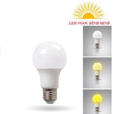 Đèn led bulb đổi màu