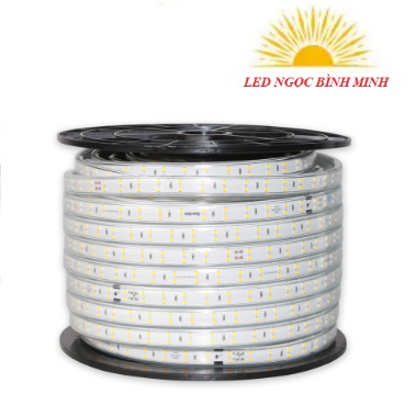 Đèn led dây đổi màu RGB LD01.RGB.IR 100/8W