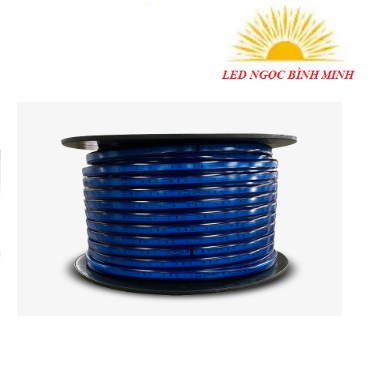 Đèn LED dây chiếu sáng LD01.V2.BL