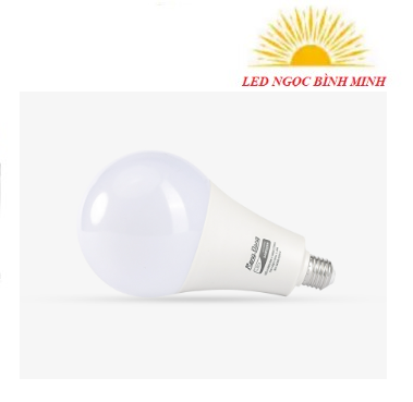 Bóng đèn LED Bulb tròn